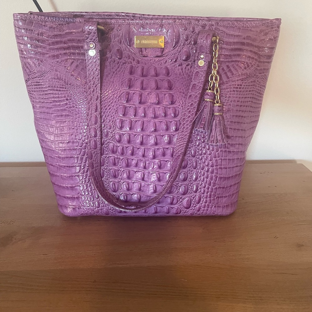 RARE Brahmin Asher Tote
